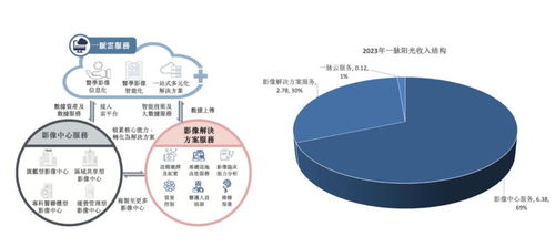 稀缺標的港股上市 醫(yī)學影像第一股邁入高增長，互聯(lián)網(wǎng)數(shù)據(jù)服務助力新篇章